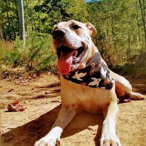 Meet your Posher, Gabi